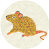 2020干支